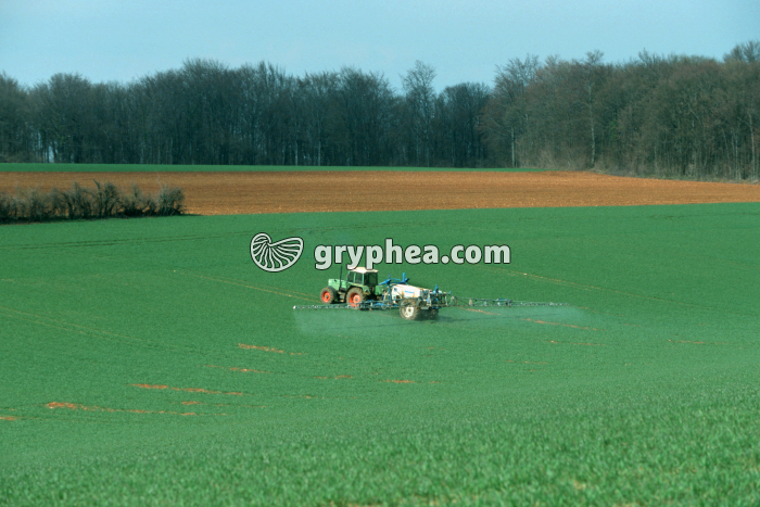 Ependage chimique - gryphea.com